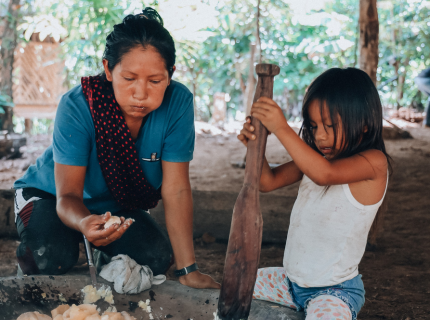 Les Gardiens de la Pachamama