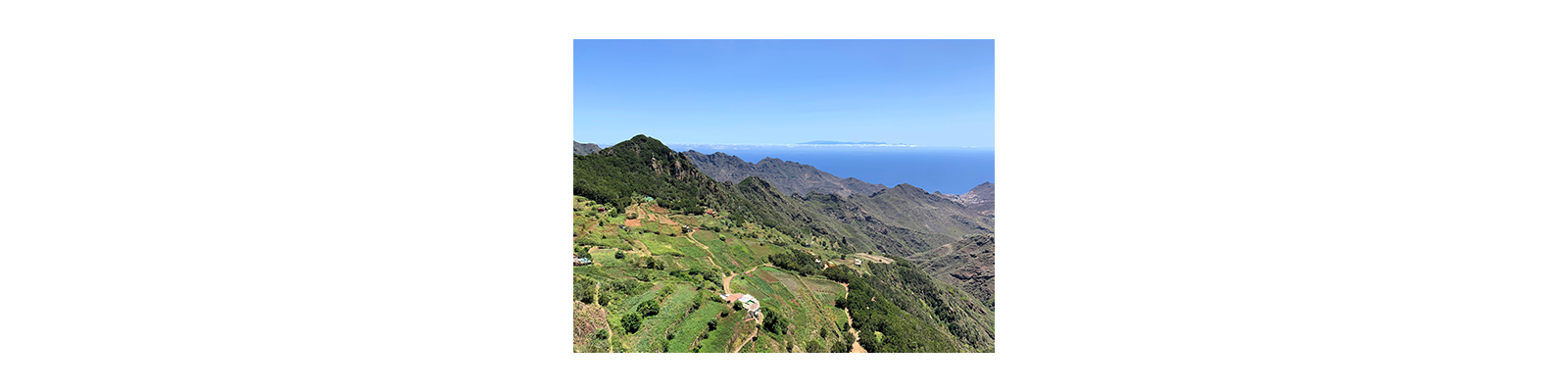 Semi-liberté : de la Gomera...