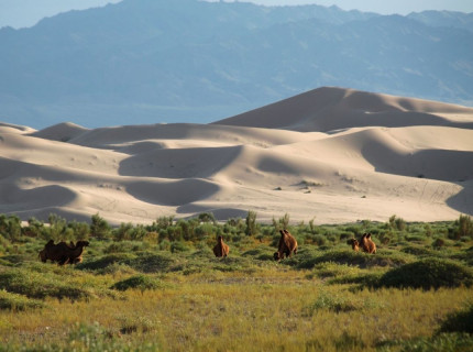 De la vallée d'Orkhon au...