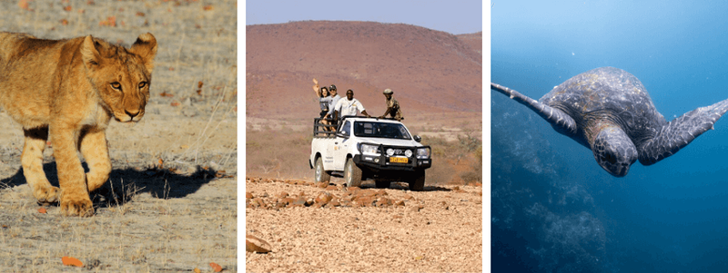 eco safari namibie